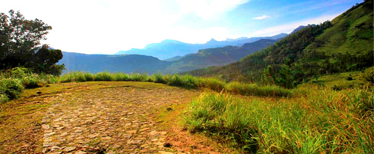 Holiday Bungalows in Nuwara Eliya - Galway's Land National Park - Image