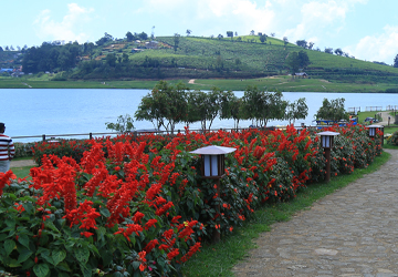 Holiday Bungalows in Nuwara Eliya - Near Gregory Lake - Images